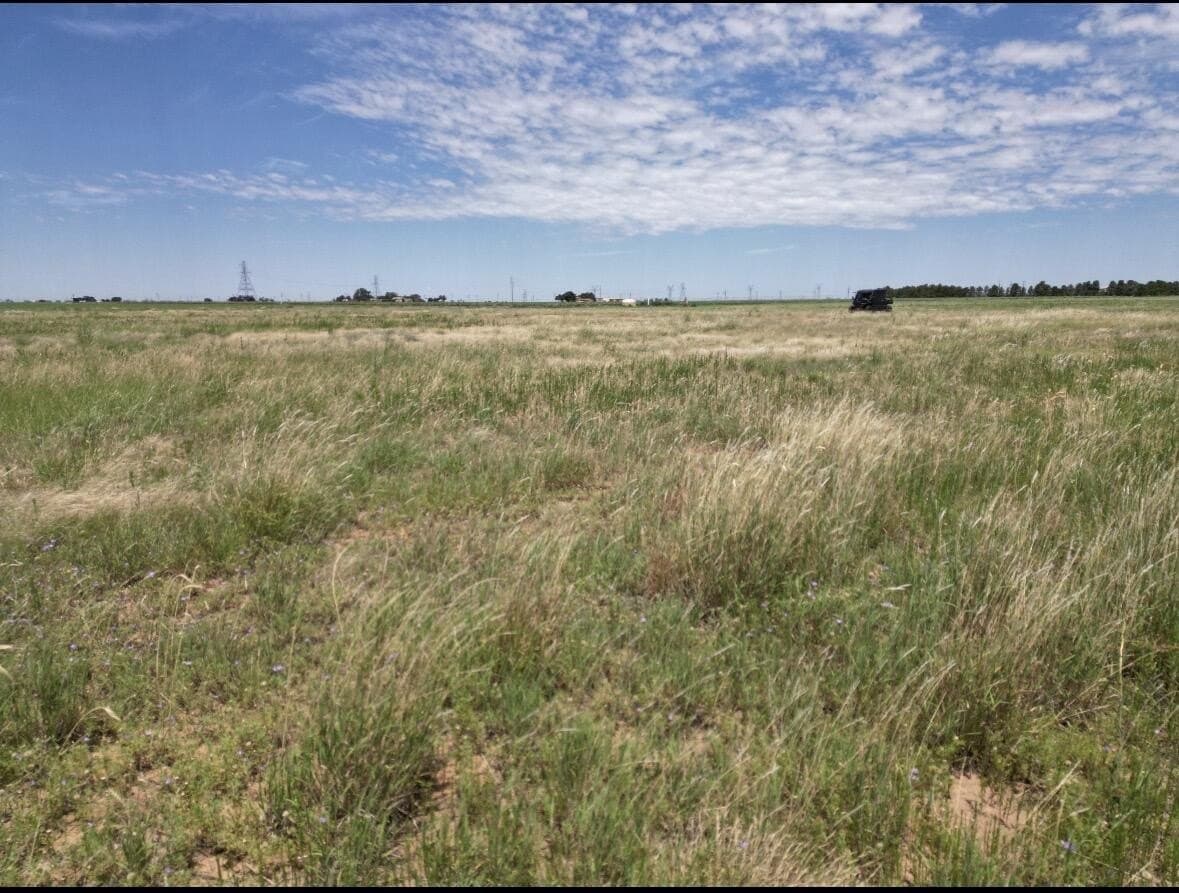 40.1 acres in Lubbock County - photo 7
