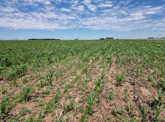 40.1 acres in Lubbock County - photo 6