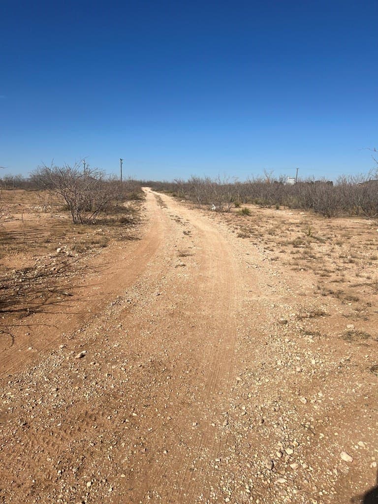 1.81 acres in Midland County gallery image 3