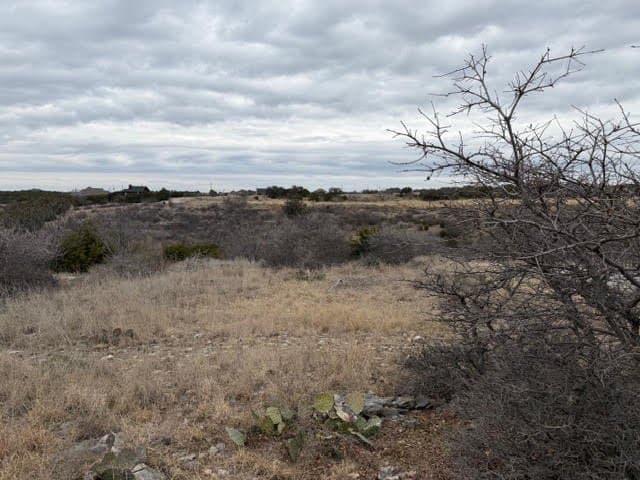 0.22 acres in Palo Pinto County gallery image 4