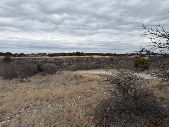 0.22 acres in Palo Pinto County - photo 6