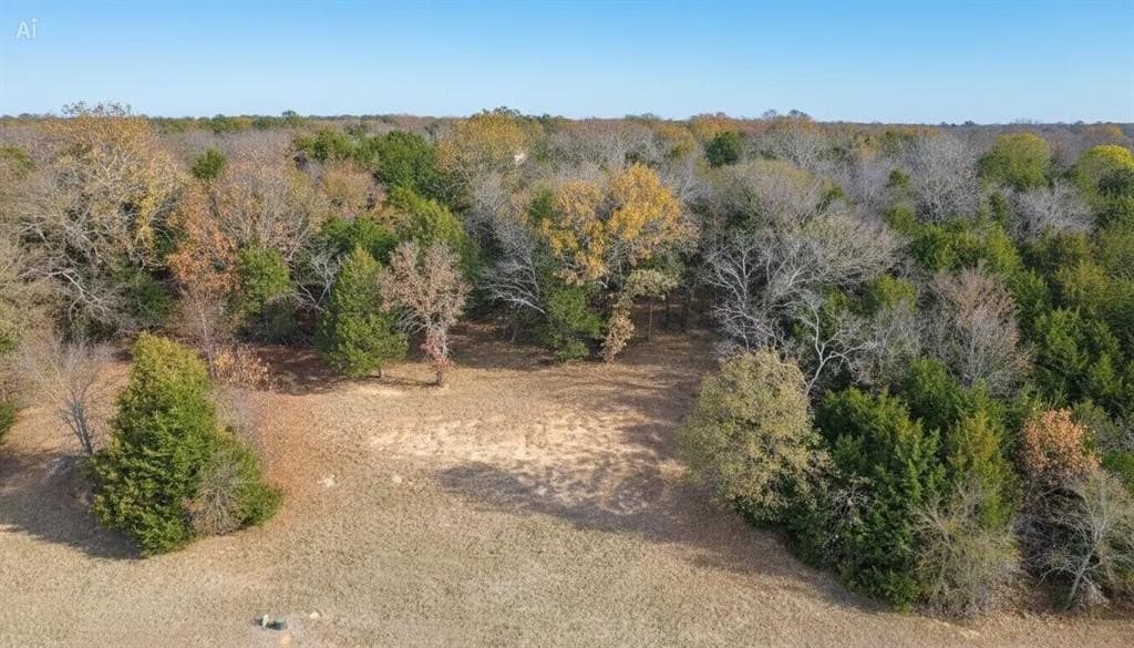 0.35 acres in Grayson County gallery image 4