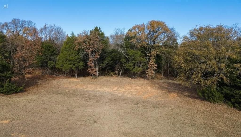 0.35 acres in Grayson County gallery image 3