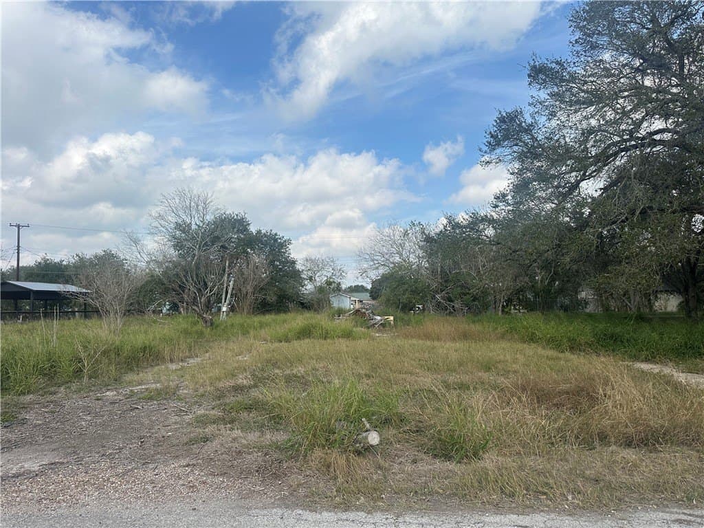 0.23 acres in Refugio County gallery image 4