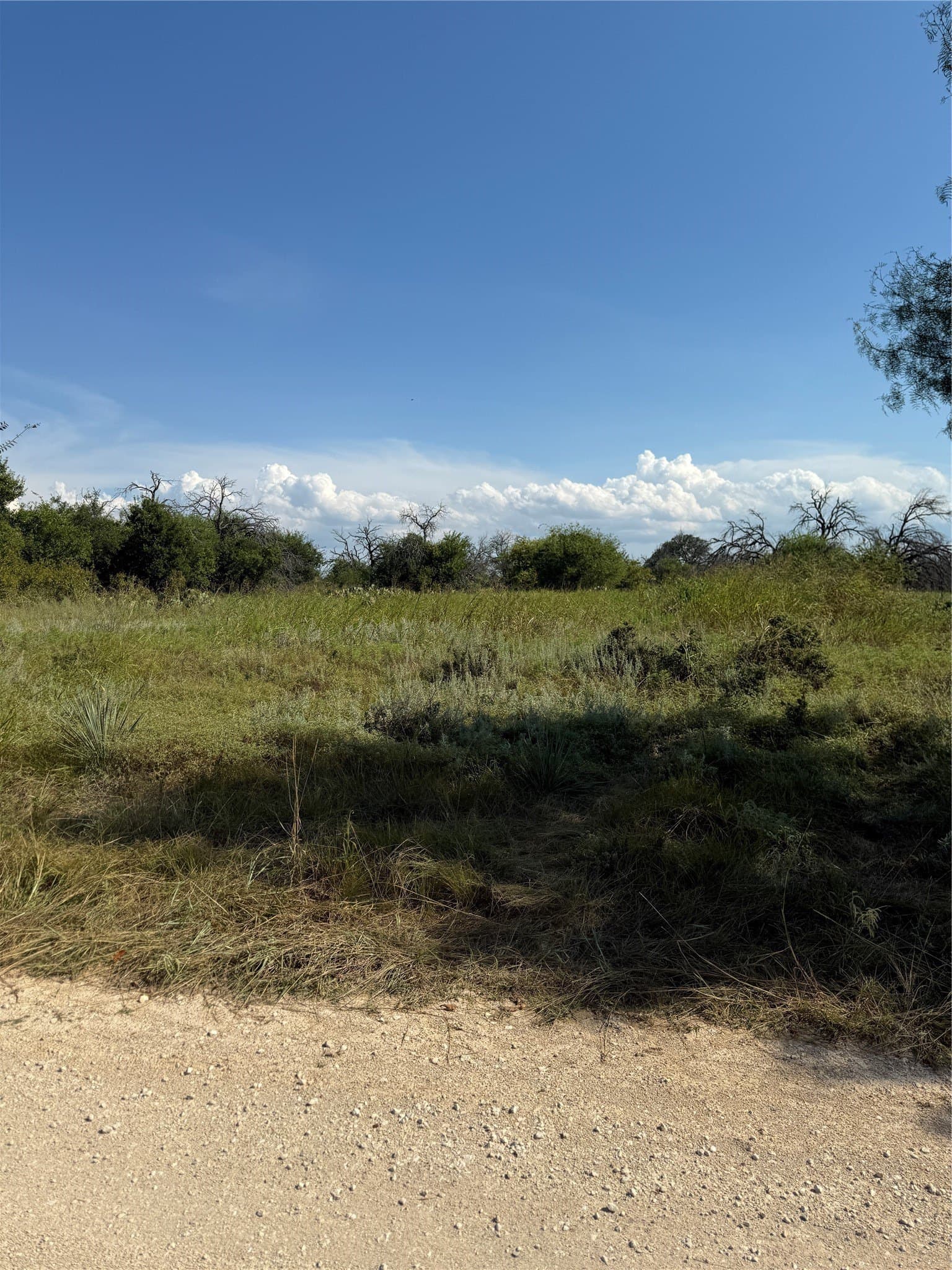 0.32 acres in Comanche County