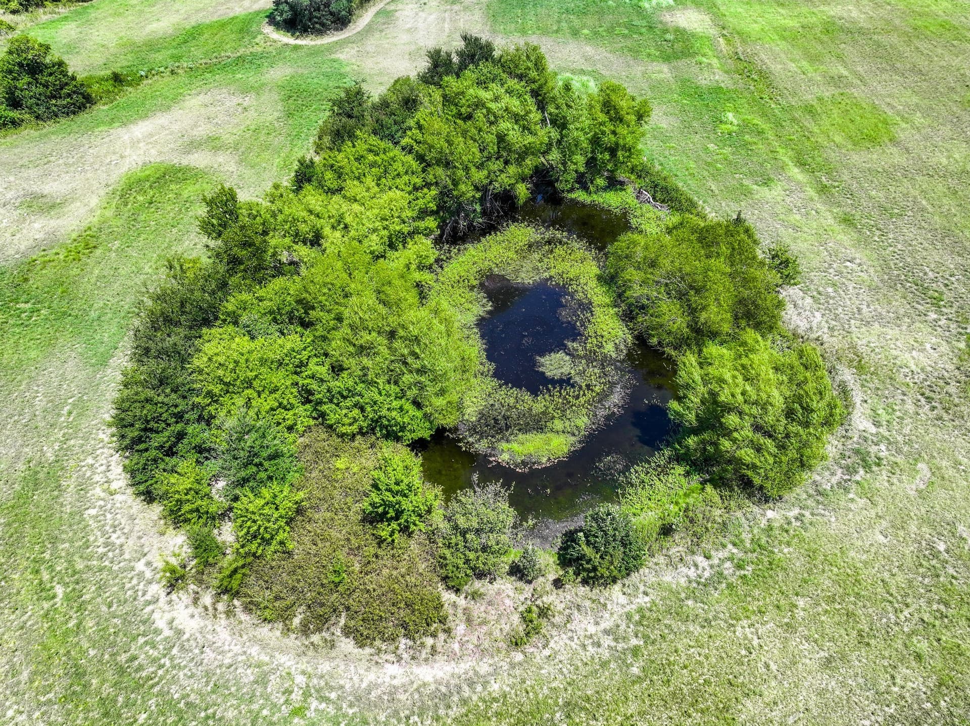 56 acres in Hunt County - photo 15
