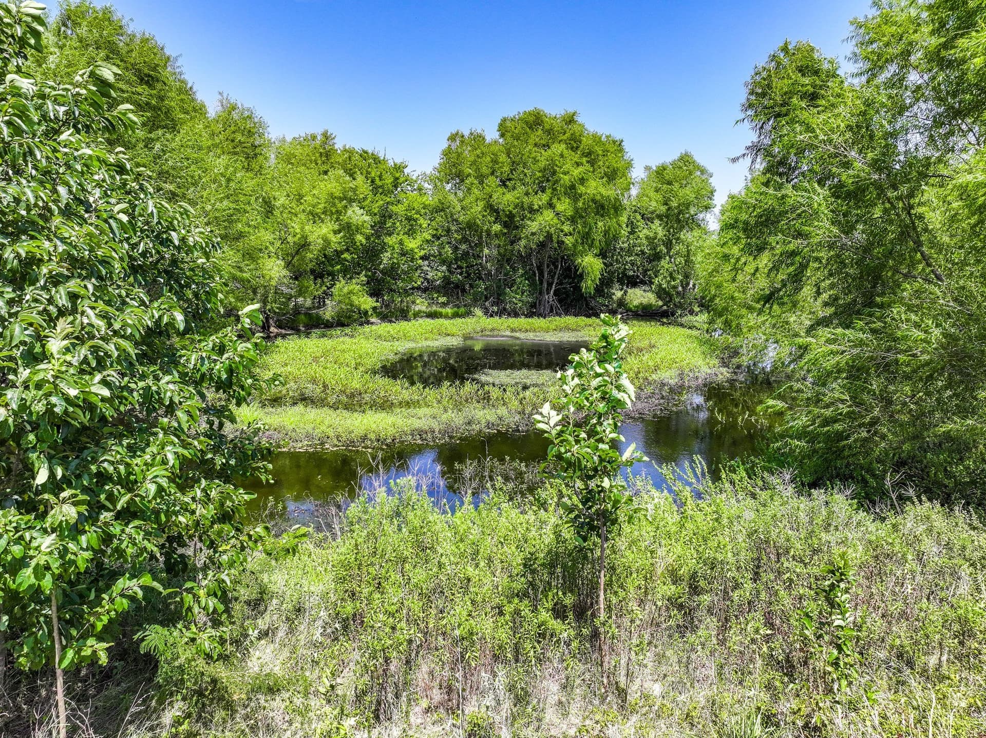 56 acres in Hunt County - photo 17