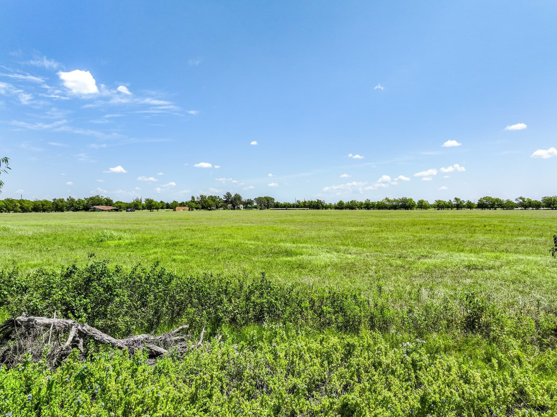 56 acres in Hunt County - photo 19