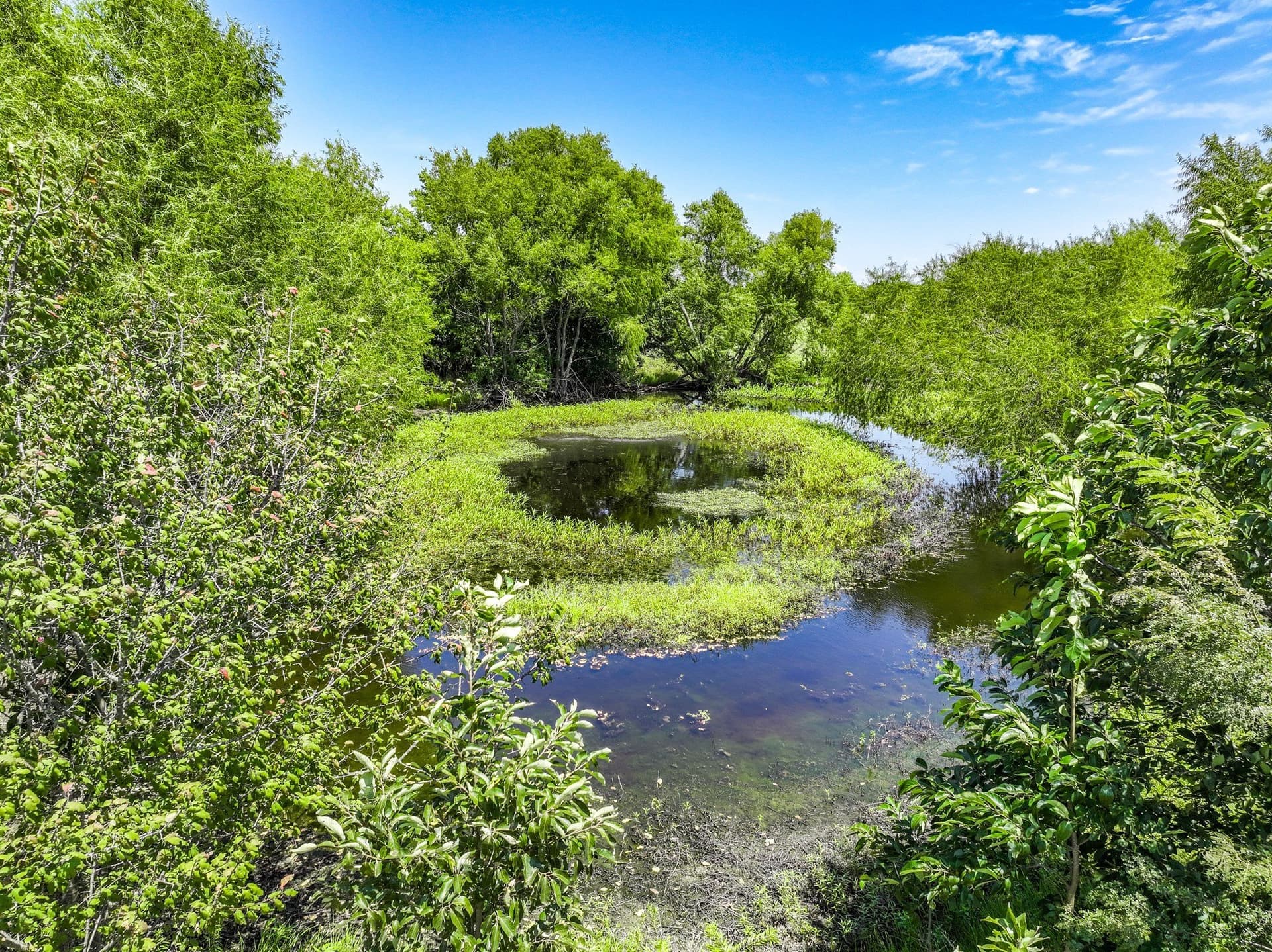 56 acres in Hunt County - photo 16