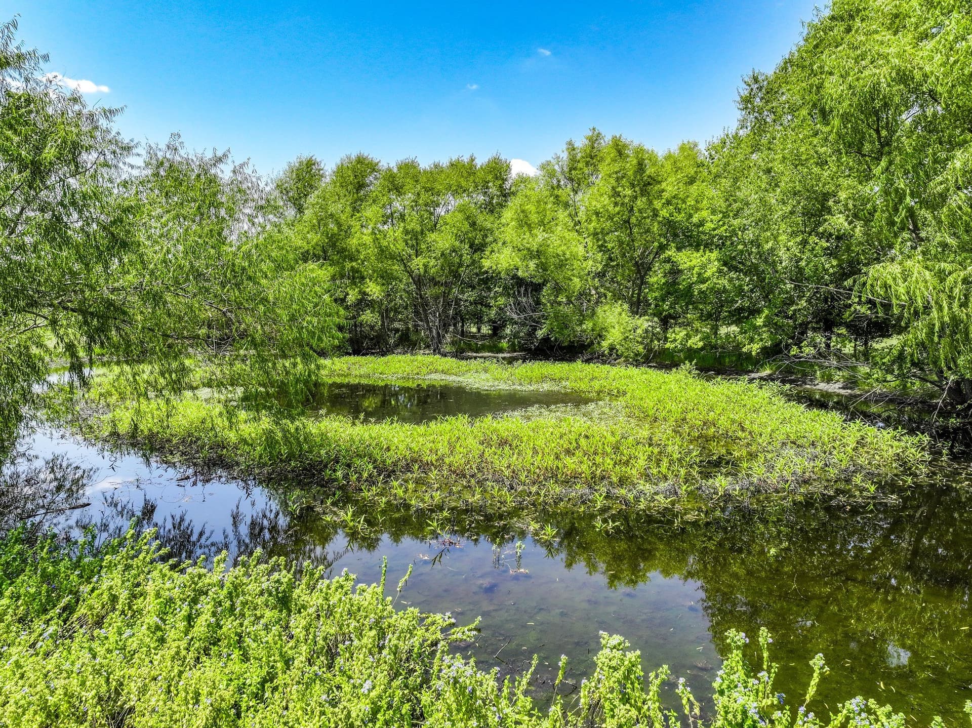 56 acres in Hunt County - photo 18