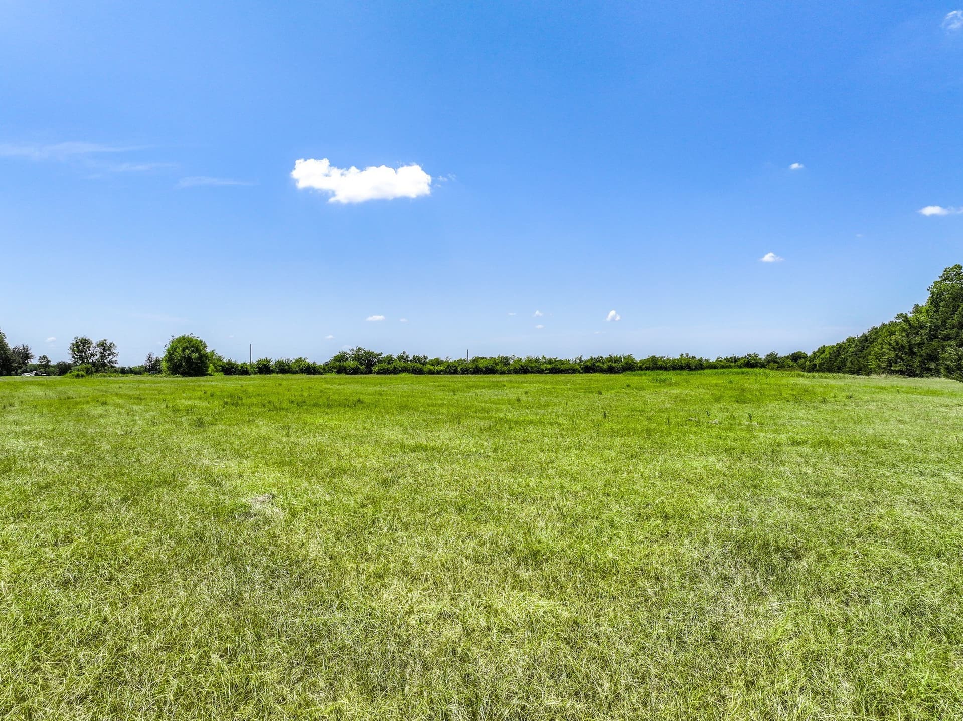 56 acres in Hunt County - photo 28