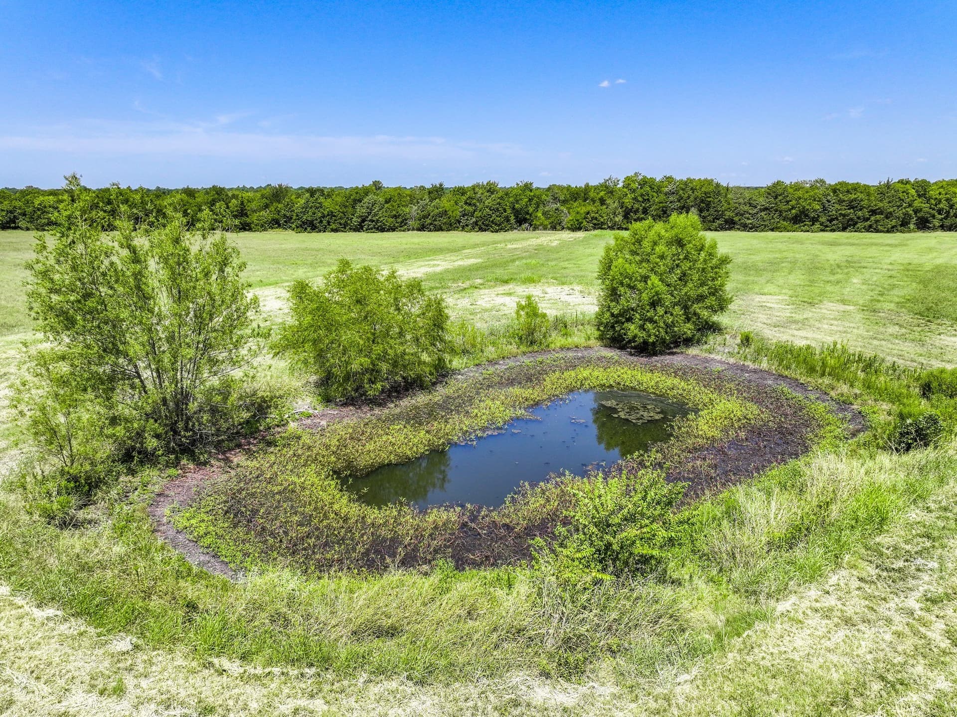 56 acres in Hunt County - photo 26