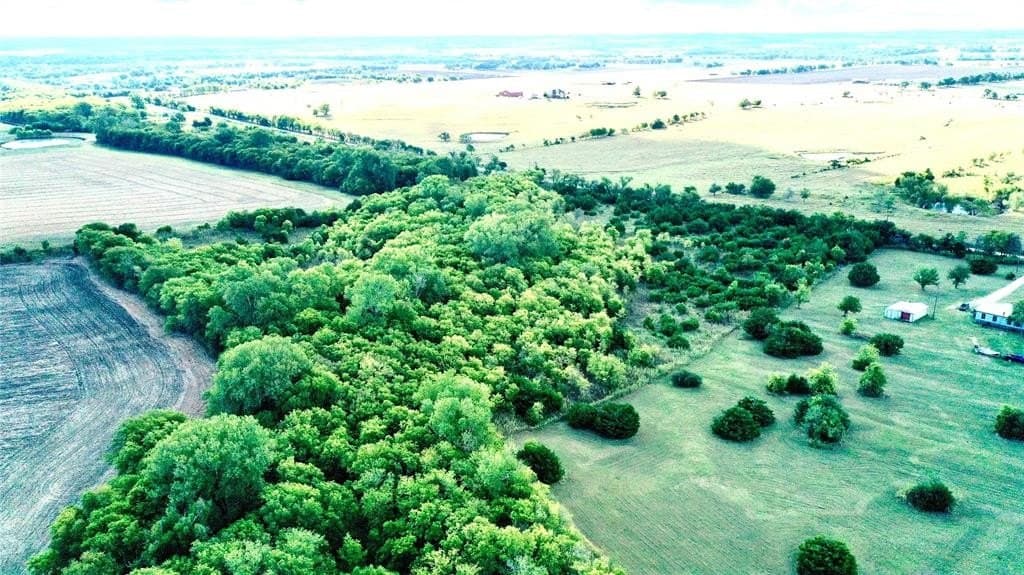 14.98 acres in McLennan County gallery image 4