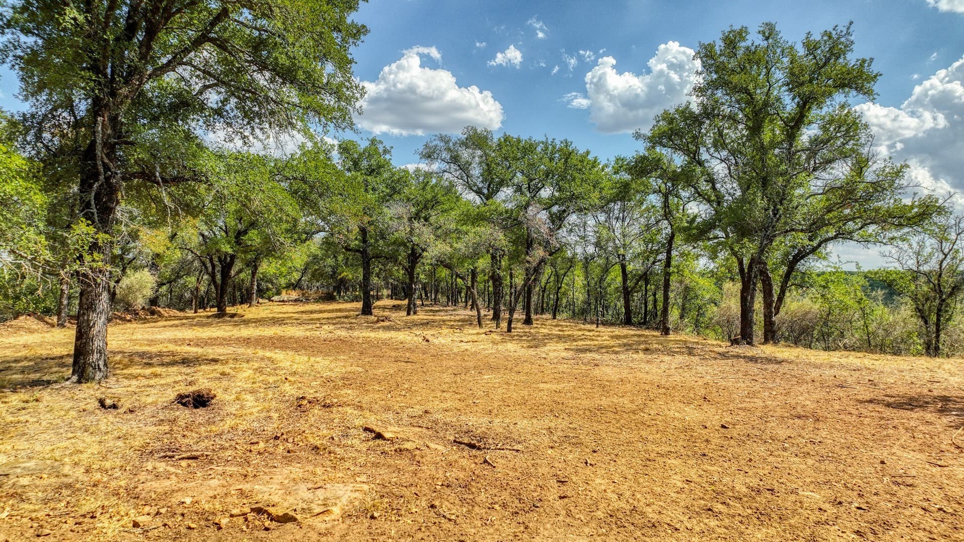5.91 acres in Palo Pinto County - photo 26
