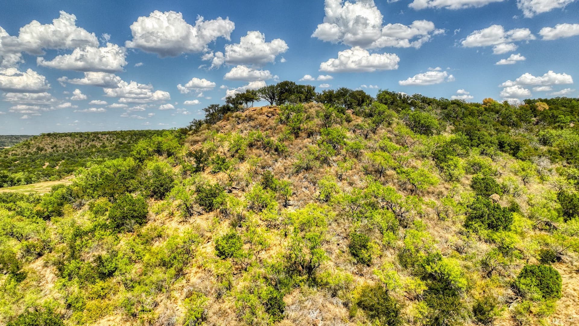 5.91 acres in Palo Pinto County - photo 16