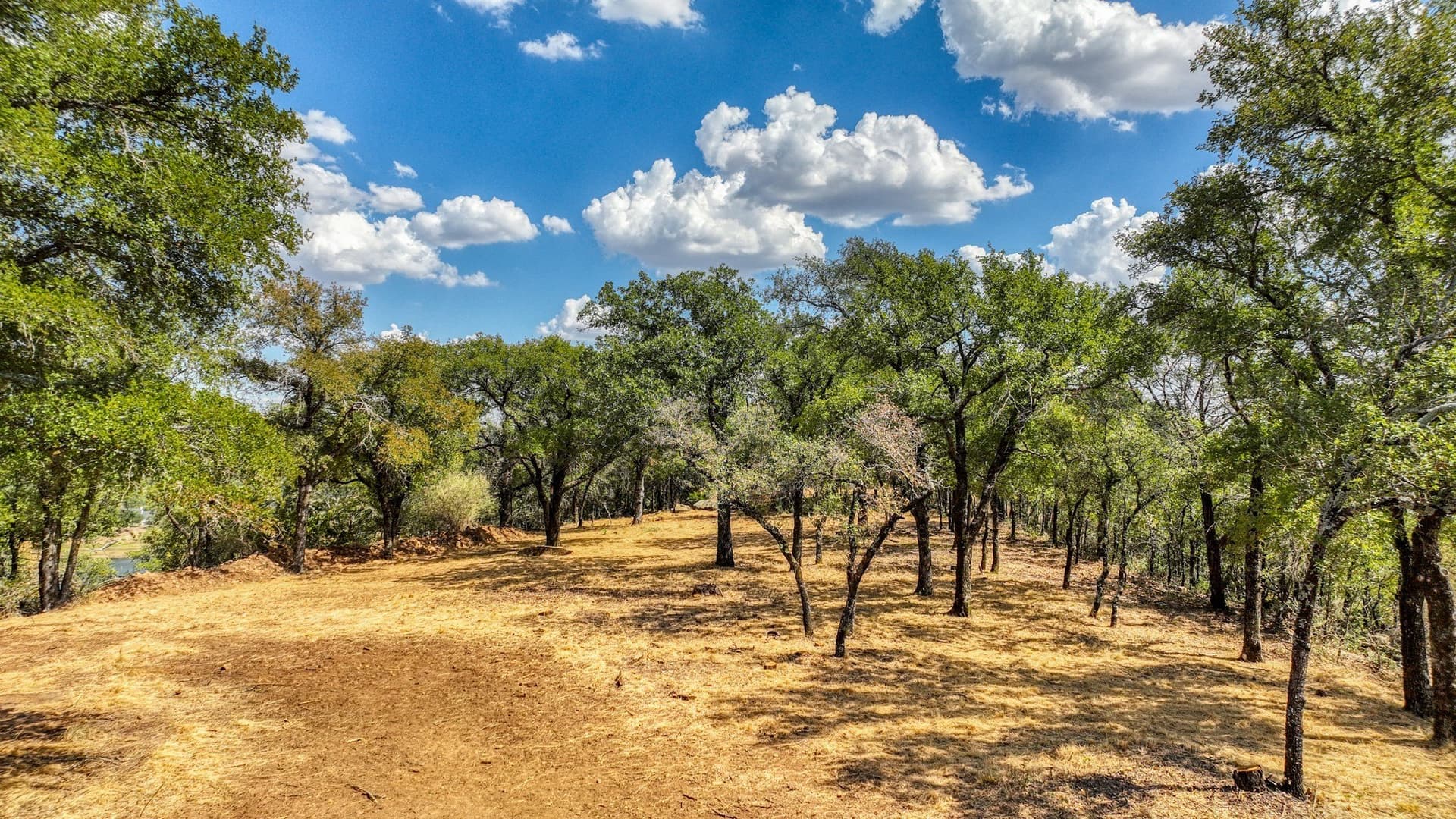 5.91 acres in Palo Pinto County - photo 11