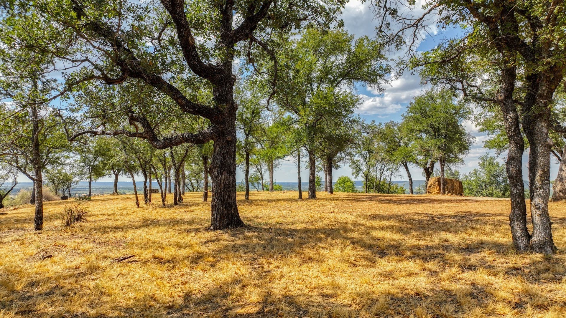 5.91 acres in Palo Pinto County - photo 28