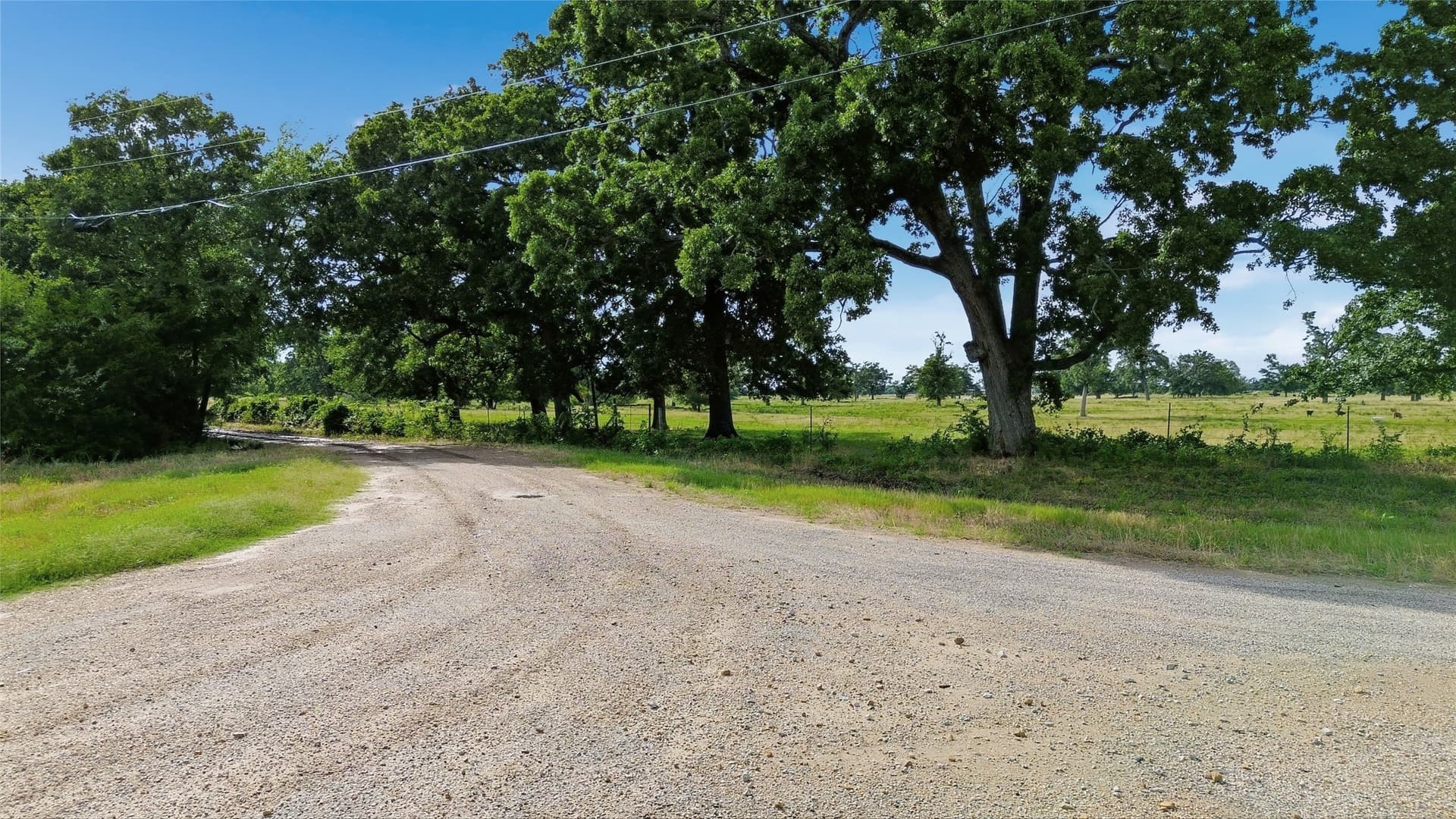 2 acres in Delta County - photo 4
