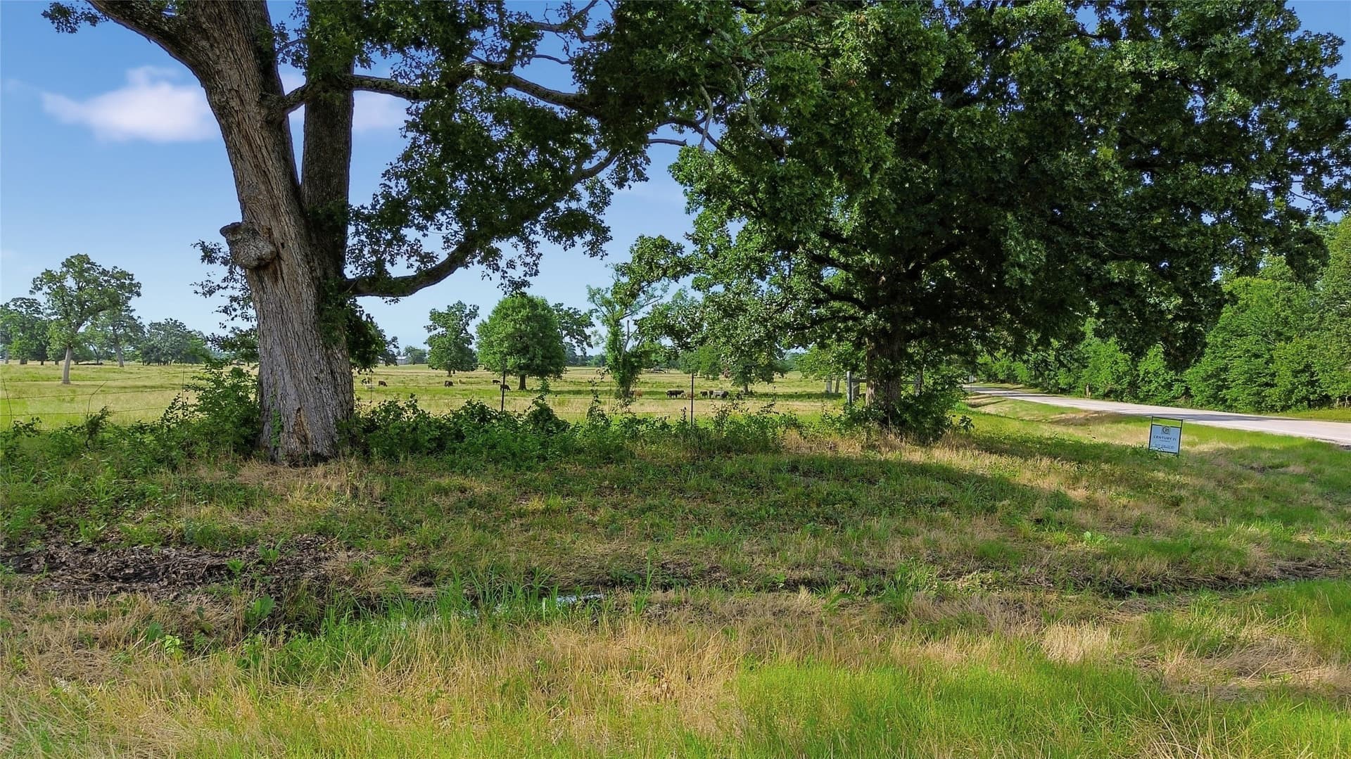2 acres in Delta County - photo 5