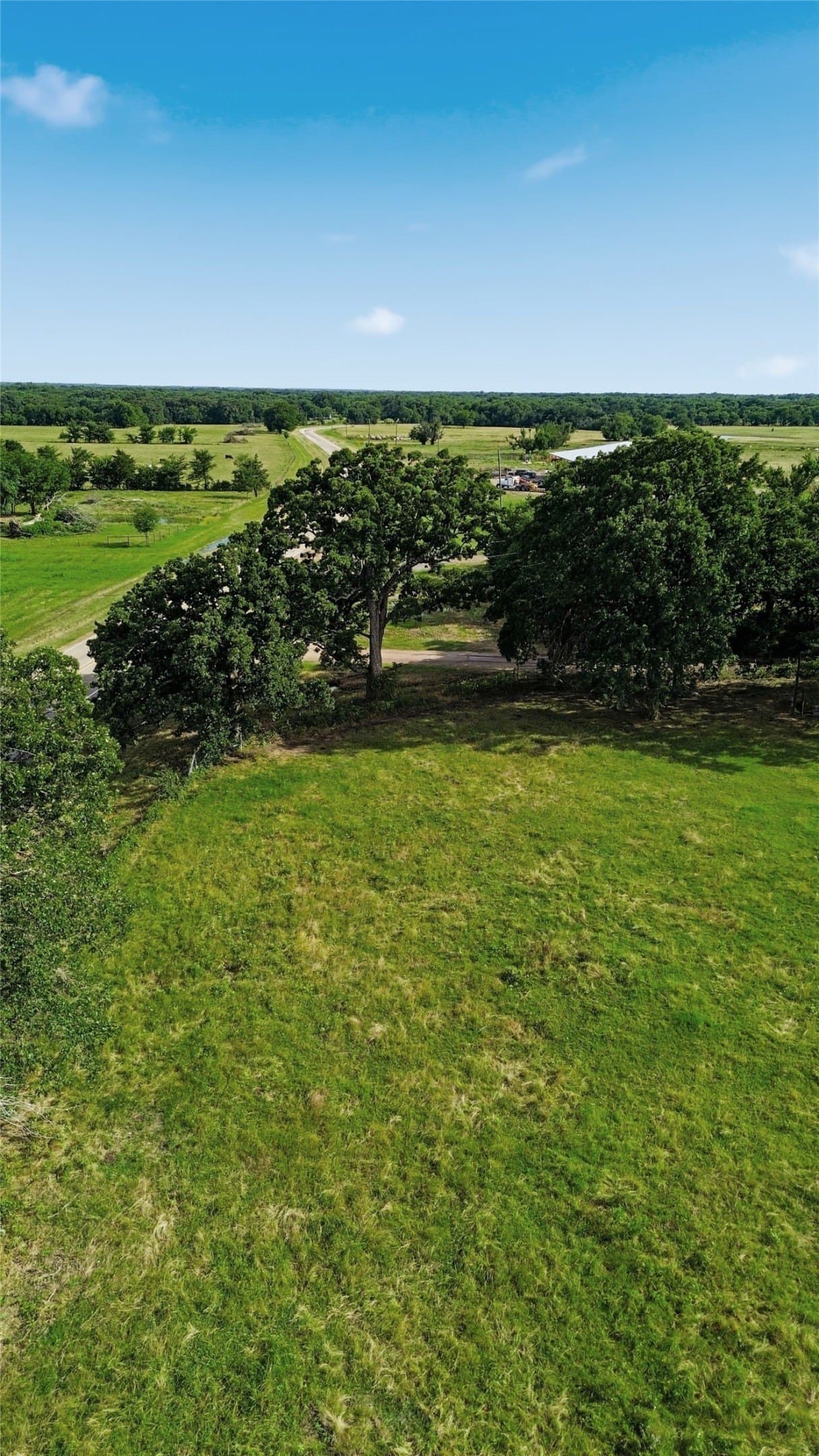 2 acres in Delta County - photo 11