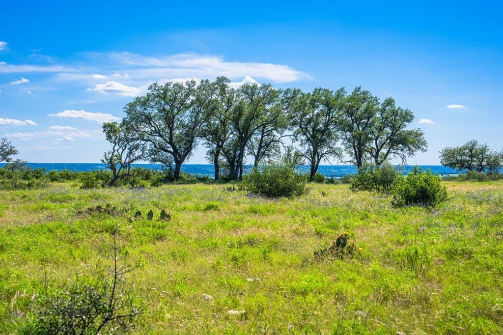 312.01 acres in Gillespie County - photo 27