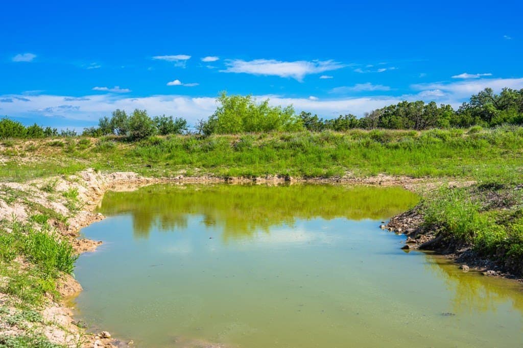 312.01 acres in Gillespie County - photo 23