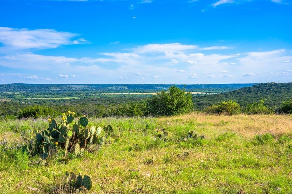 312.01 acres in Gillespie County - photo 20