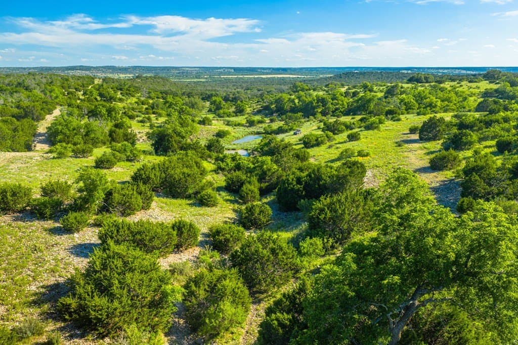 312.01 acres in Gillespie County - photo 9