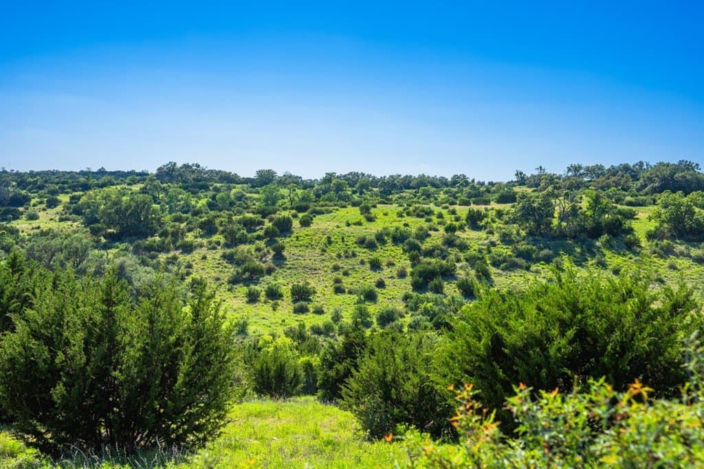 312.01 acres in Gillespie County - photo 19