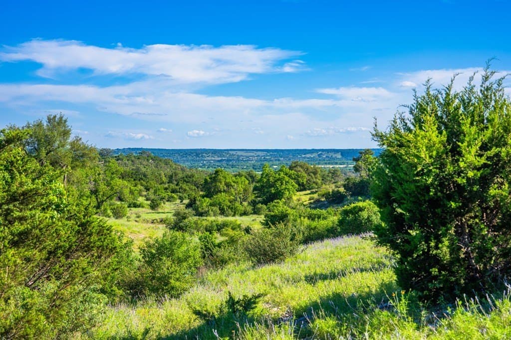 312.01 acres in Gillespie County - photo 8