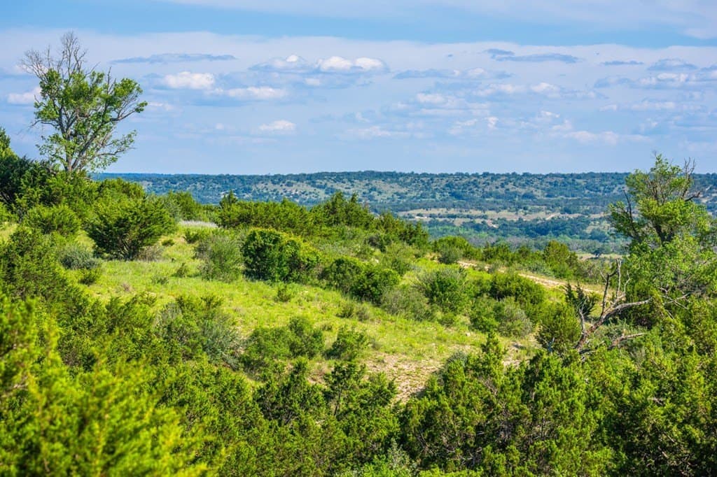 312.01 acres in Gillespie County - photo 14