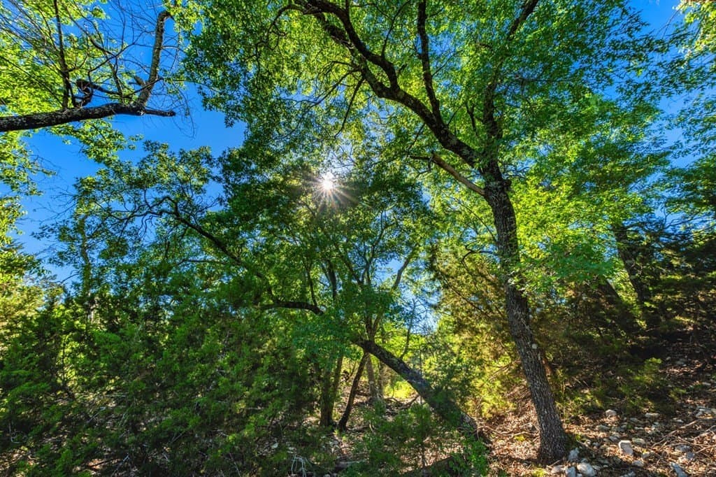 312.01 acres in Gillespie County - photo 24