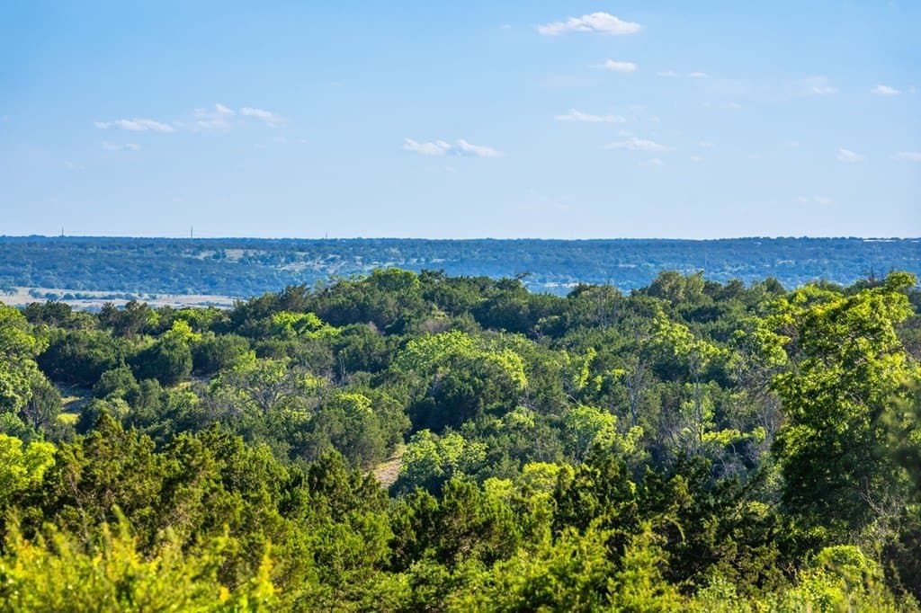 312.01 acres in Gillespie County - photo 28