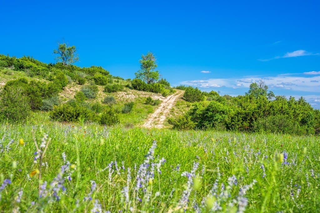 312.01 acres in Gillespie County - photo 15
