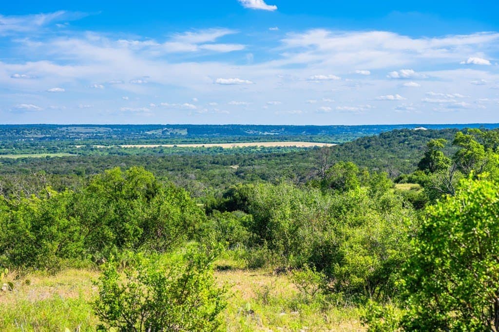 312.01 acres in Gillespie County - photo 17