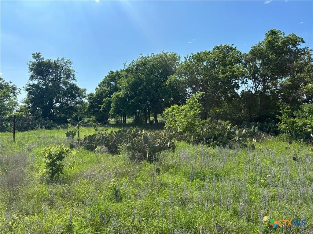 6.19 acres in Burnet County - photo 10