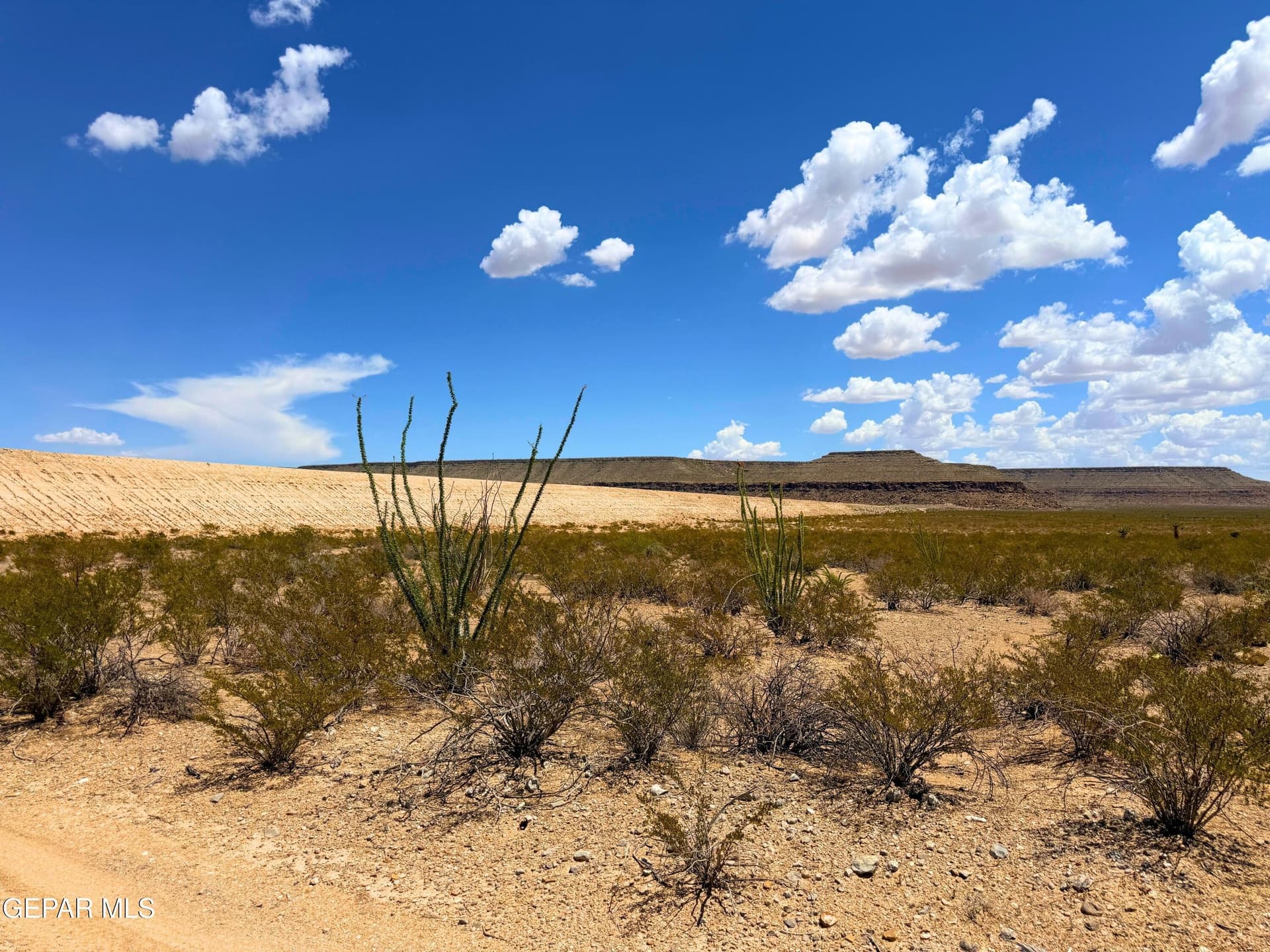 368 acres in Hudspeth County - photo 43
