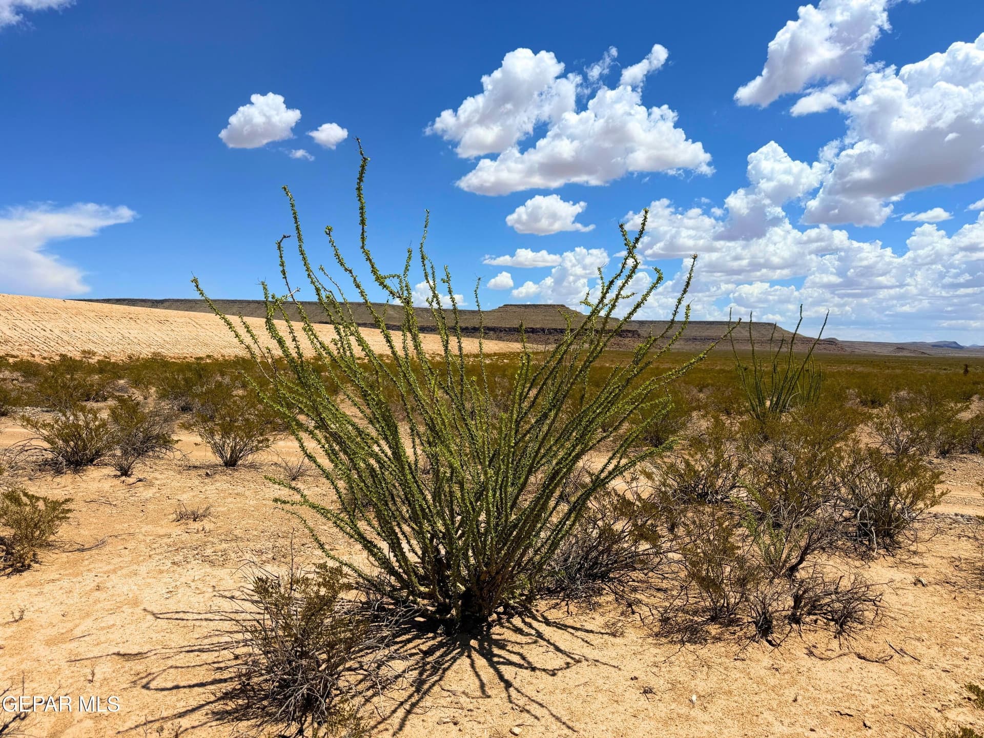 368 acres in Hudspeth County - photo 41
