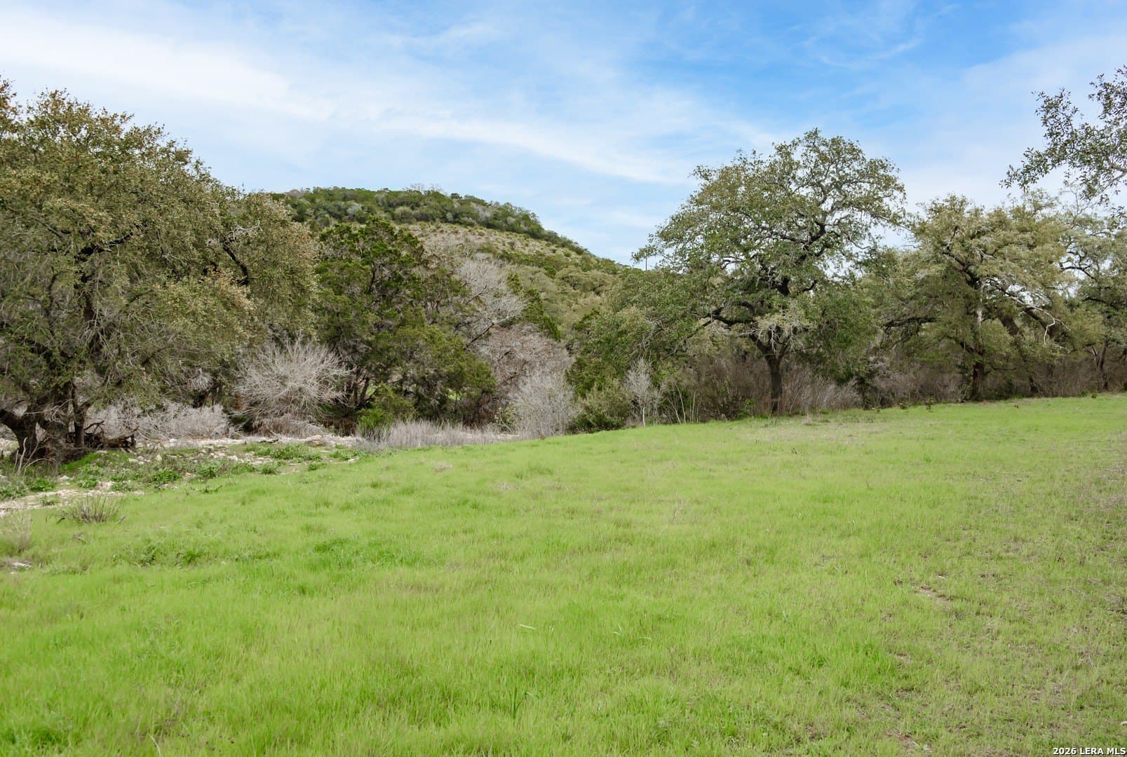 14.01 acres in Comal County - photo 14