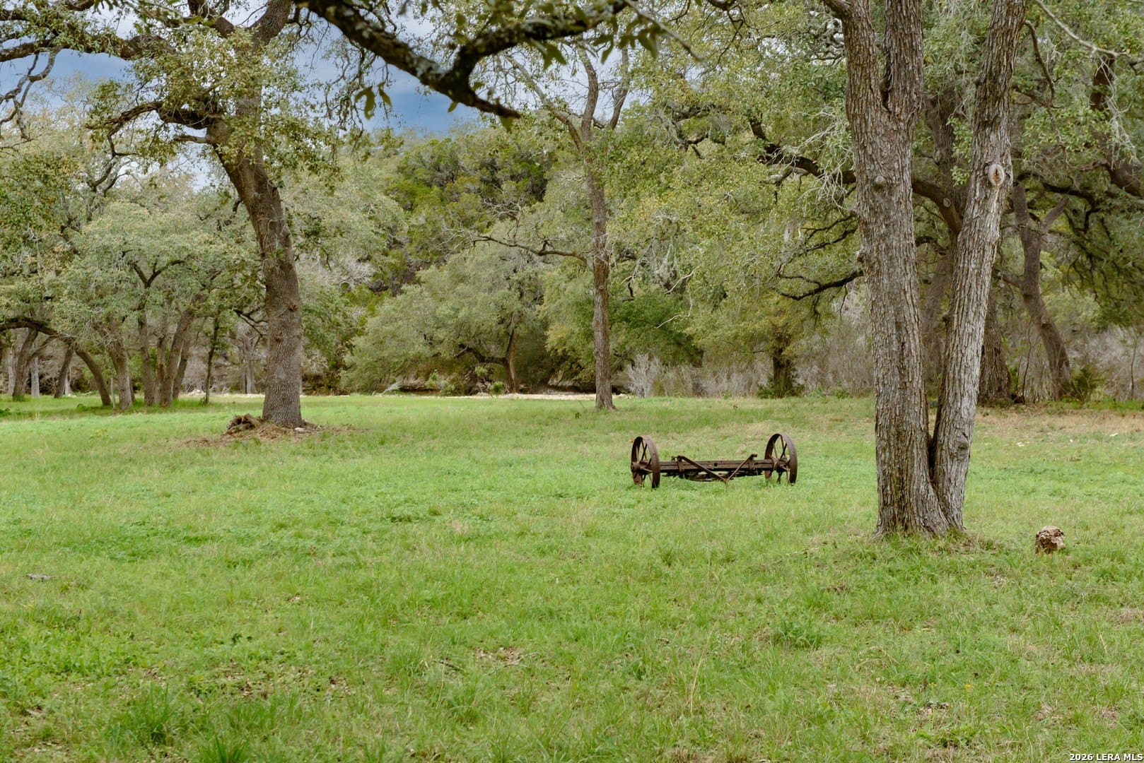 14.01 acres in Comal County - photo 15