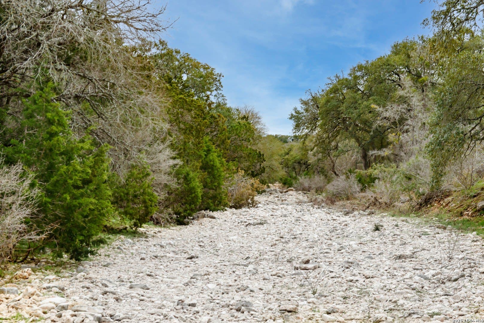 14.01 acres in Comal County - photo 10