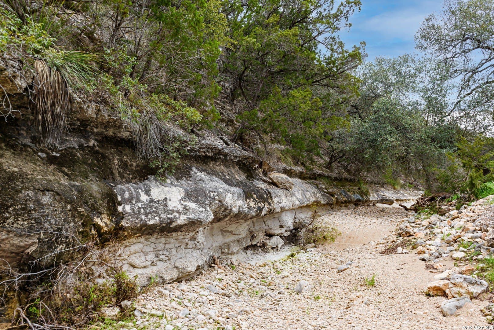 14.01 acres in Comal County - photo 12