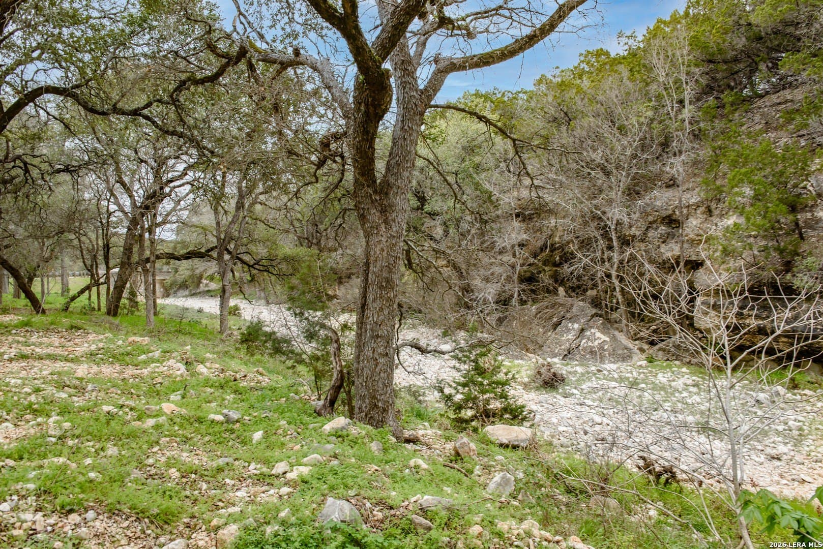 14.01 acres in Comal County - photo 11