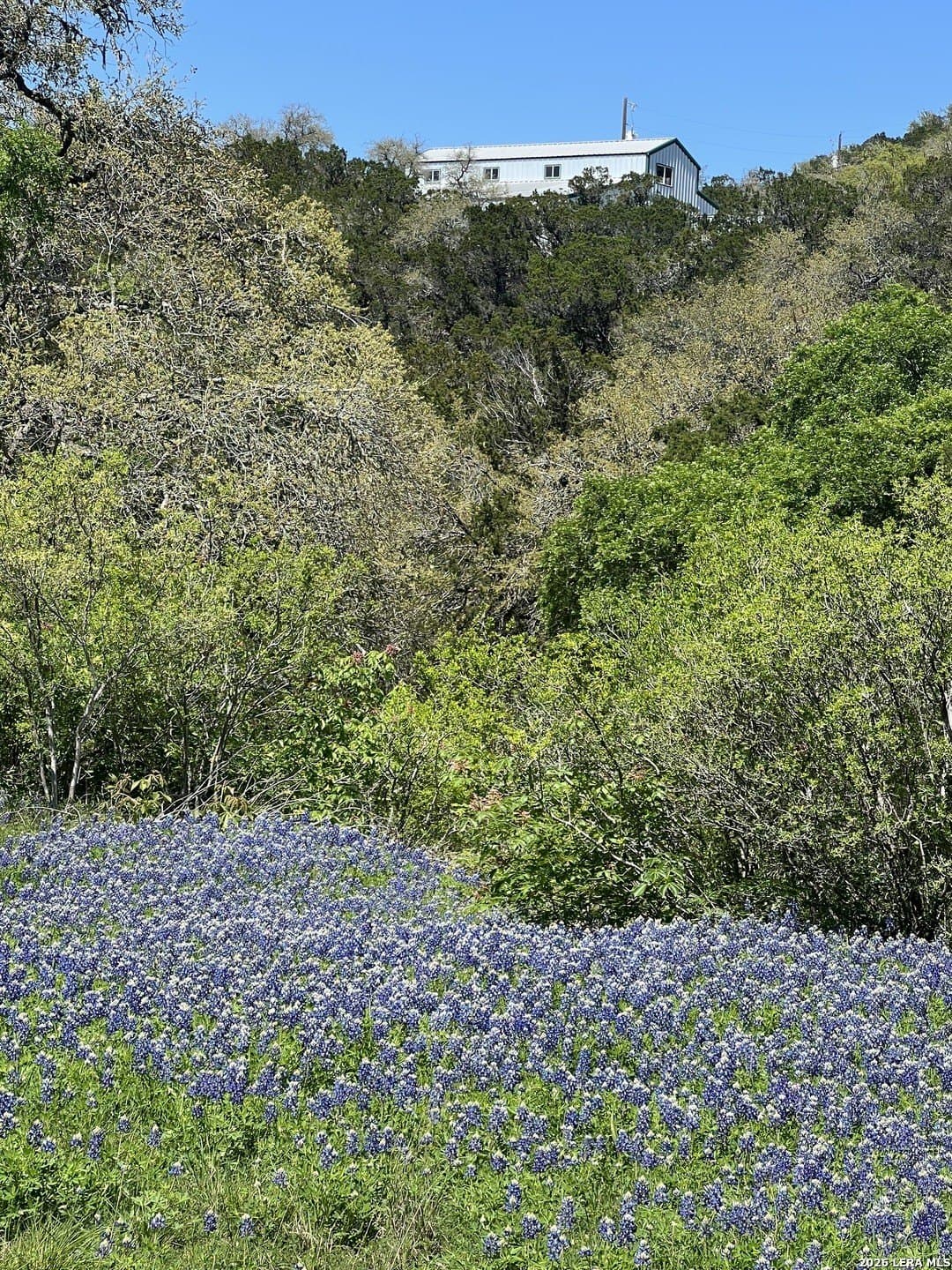 14.01 acres in Comal County - photo 38