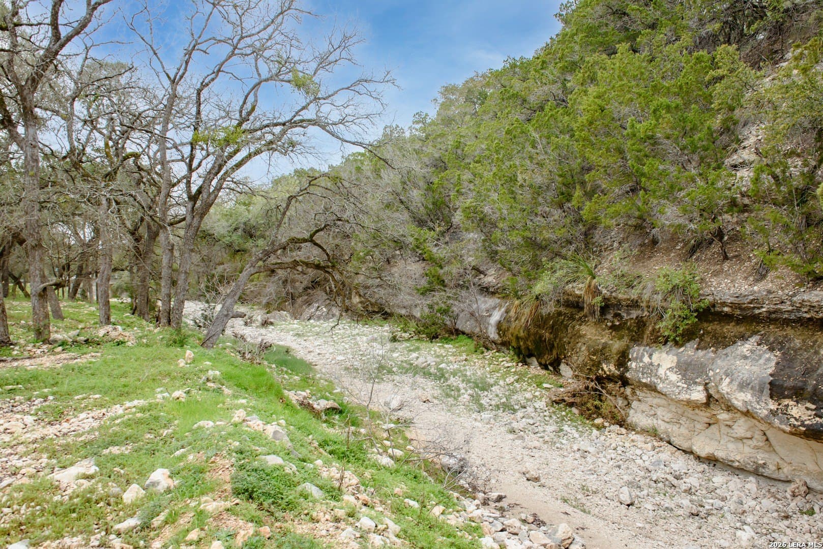14.01 acres in Comal County - photo 8