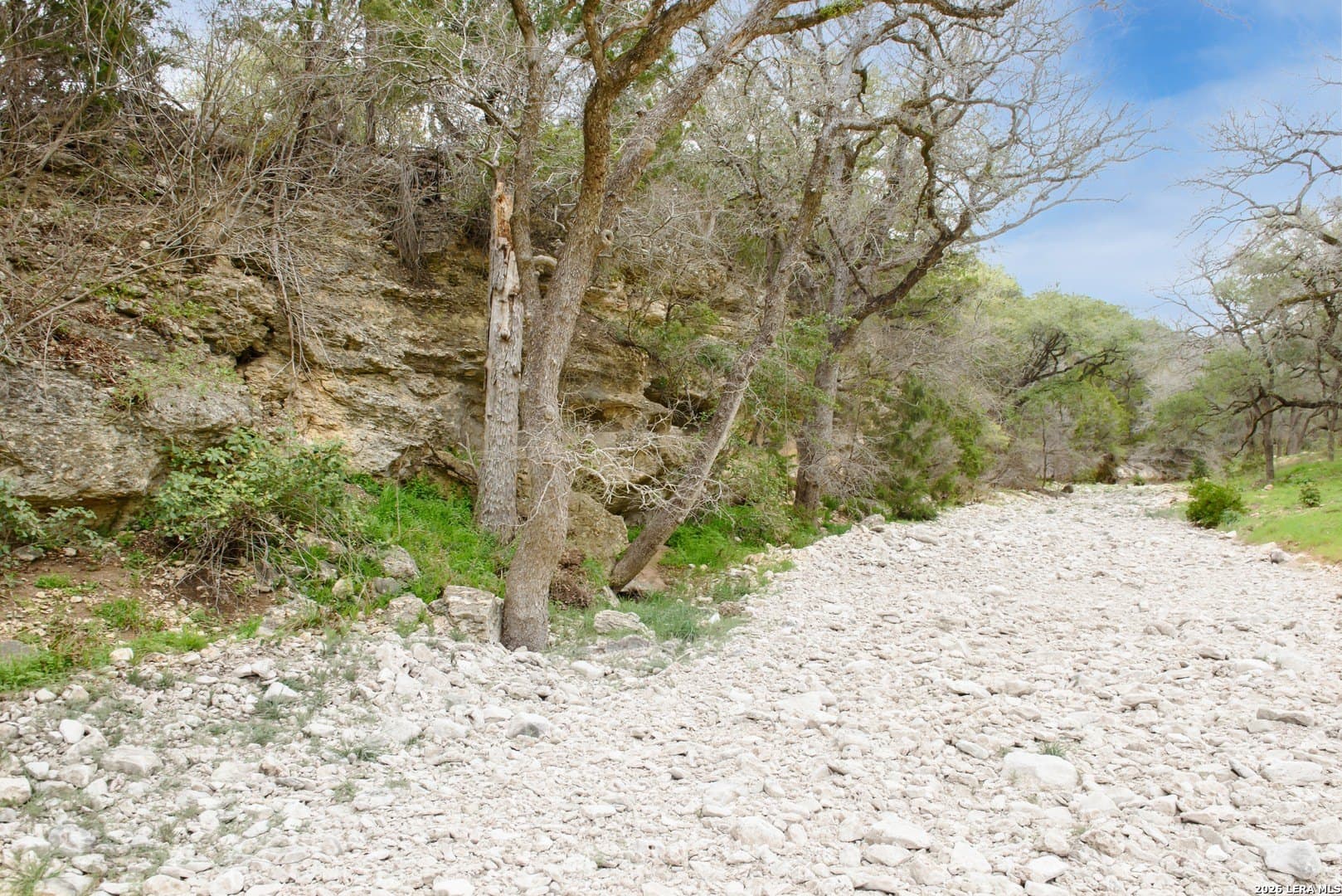14.01 acres in Comal County - photo 7