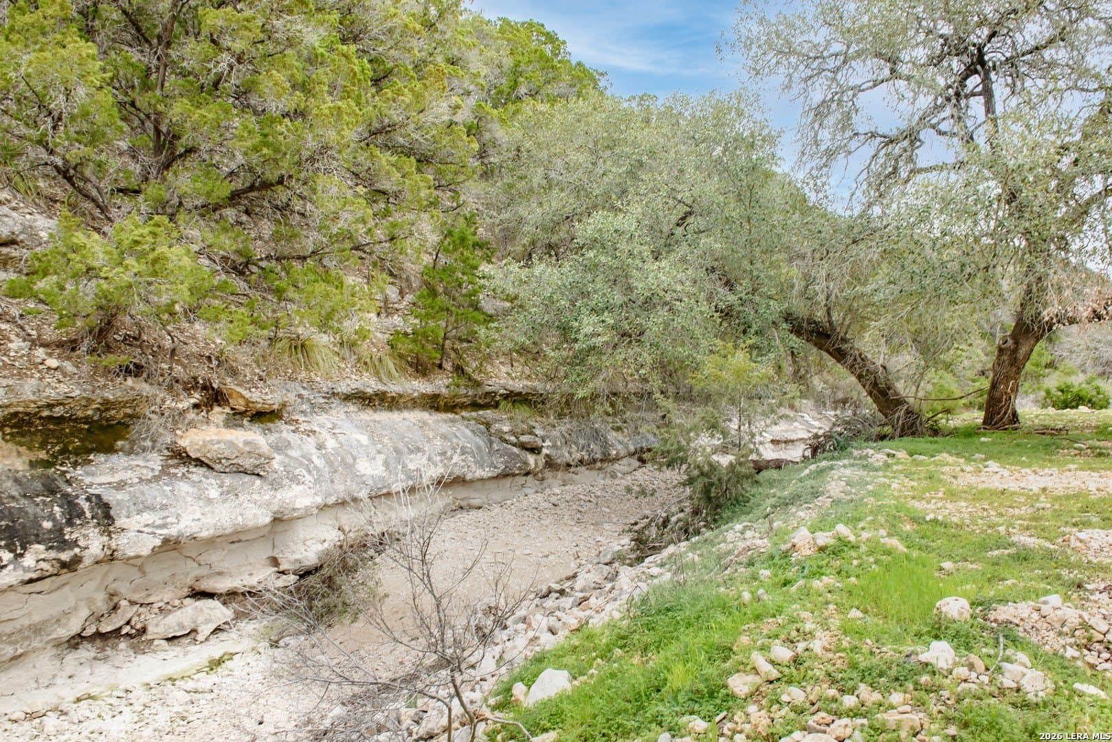 14.01 acres in Comal County - photo 9