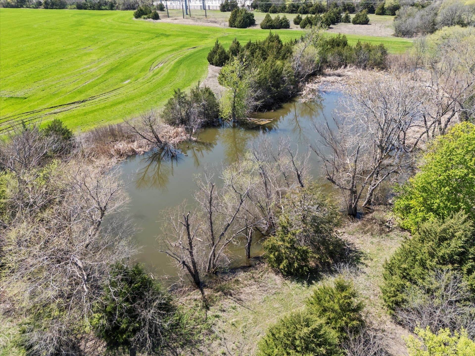 139.53 acres in Rockwall County - photo 12