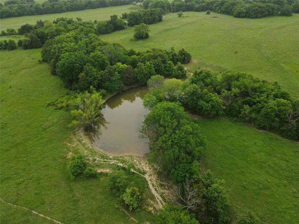 160 acres in Montague County gallery image 3