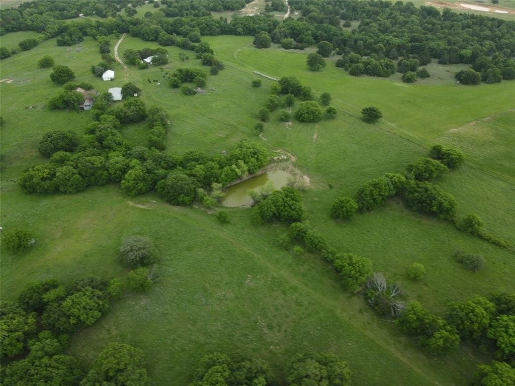 160 acres in Montague County gallery image 2